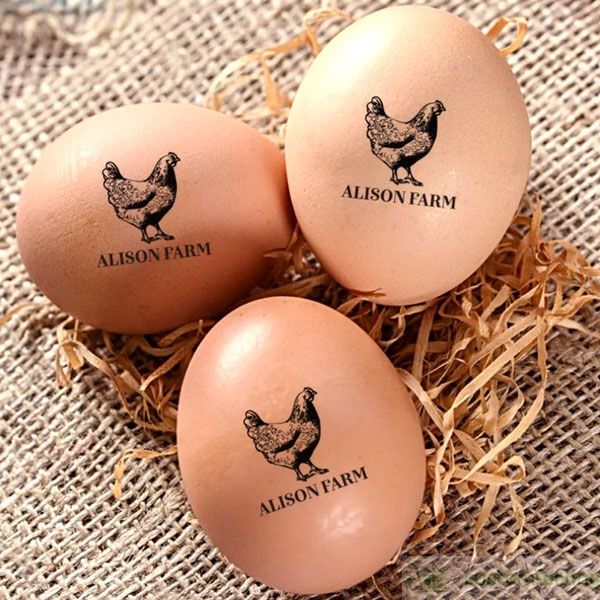  Personalized Egg Stamp, Custom Flat Rubber Chicken Fresh Coop  Egg Labels Mini Egg Business Cartons Stamp : Office Products